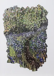 Bluebell Wood
